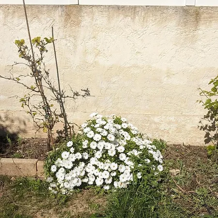 Maisonnette Kalis Calme Avec Climatisation Parking Jardin Cadre Campagne Plages A Pieds Holiday home *