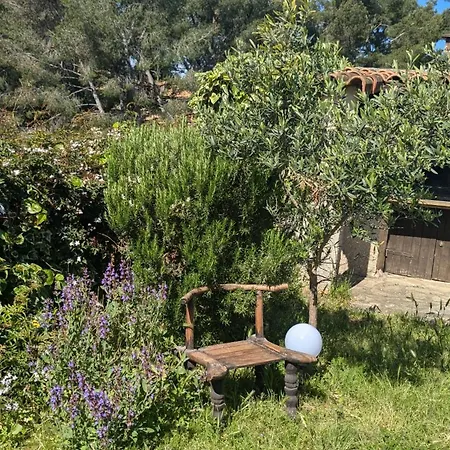 Maisonnette Au Calme Avec Climatisation Parking Jardin Cadre Campagne Plages A Pieds Bandol